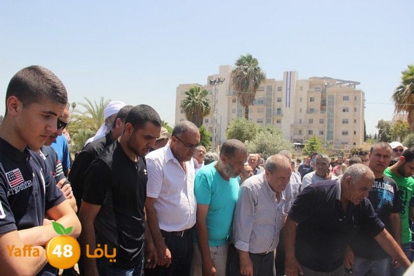 jaanzaa 0501 (26).JPG